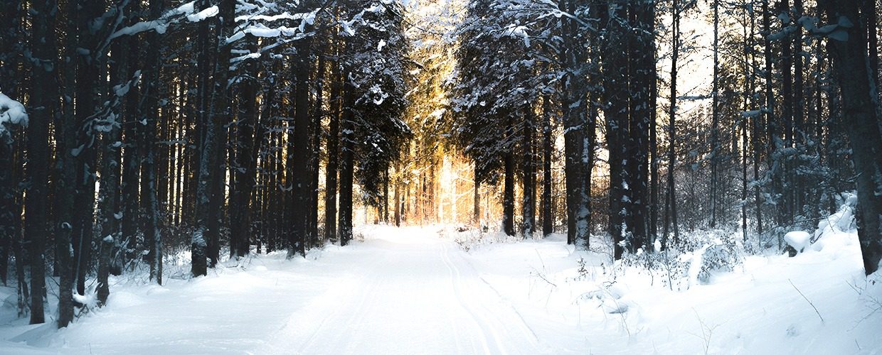 Slider-Startseite-Winterwanderweg